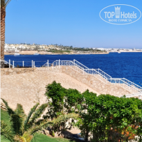 фото из отзыва ID 2733501