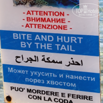 фото из отзыва ID 2733501