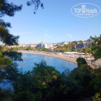 фото из отзыва ID 2738352