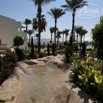 фото из отзыва ID 2738401