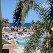 фото из отзыва ID 2738370