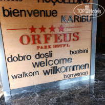 фото из отзыва ID 2738403