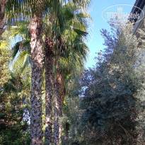 фото из отзыва ID 2738403