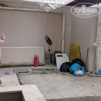 фото из отзыва ID 2738412