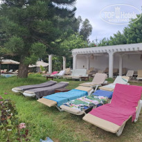 фото из отзыва ID 2738413