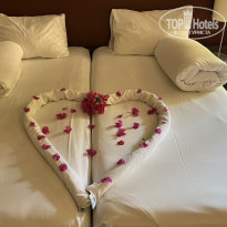 фото из отзыва ID 2738426