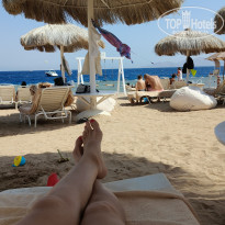 фото из отзыва ID 2738416