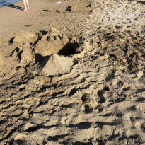 фото из отзыва ID 2738428