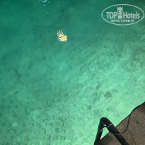 фото из отзыва ID 2738439