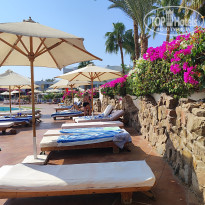 фото из отзыва ID 2738440