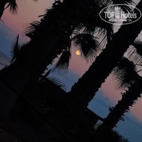 фото из отзыва ID 2738434