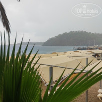 фото из отзыва ID 2738434