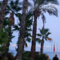 фото из отзыва ID 2738434