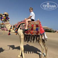 фото из отзыва ID 2738462