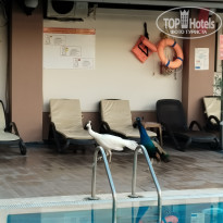 фото из отзыва ID 2738465