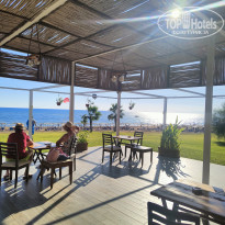 фото из отзыва ID 2738488