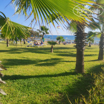 фото из отзыва ID 2738488