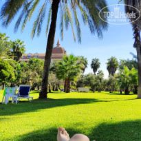 фото из отзыва ID 2738488