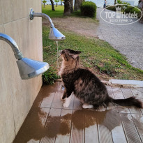 фото из отзыва ID 2738488