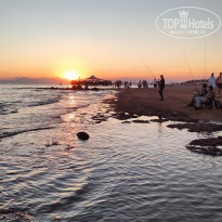 фото из отзыва ID 2738488