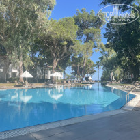 фото из отзыва ID 2738492