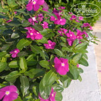 фото из отзыва ID 2738490