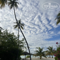 фото из отзыва ID 2738487