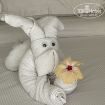 фото из отзыва ID 2738487