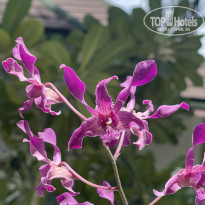 фото из отзыва ID 2738487