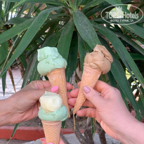 фото из отзыва ID 2738494