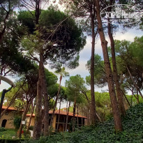 фото из отзыва ID 2738494