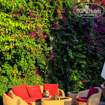 фото из отзыва ID 2738496