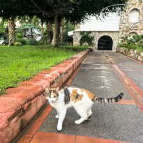 фото из отзыва ID 2738496