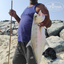 фото из отзыва ID 2738395