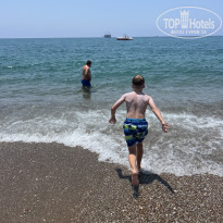 фото из отзыва ID 2738508