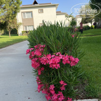 фото из отзыва ID 2738508