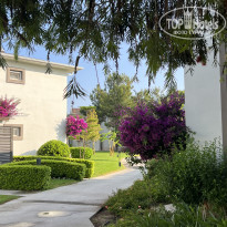 фото из отзыва ID 2738508