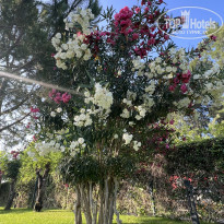 фото из отзыва ID 2738508