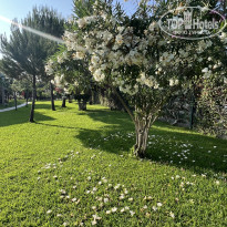 фото из отзыва ID 2738508