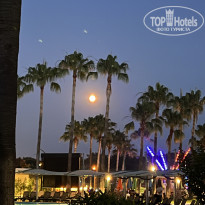 фото из отзыва ID 2738508