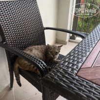 фото из отзыва ID 2738508