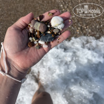 фото из отзыва ID 2738508