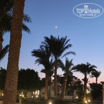 фото из отзыва ID 2738516