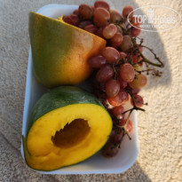 фото из отзыва ID 2738524