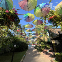 фото из отзыва ID 2738527