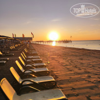 фото из отзыва ID 2738539