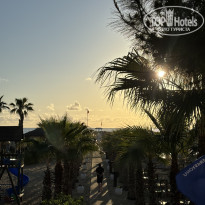 фото из отзыва ID 2738545