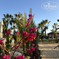 фото из отзыва ID 2738545