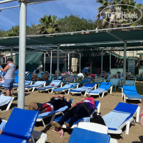 фото из отзыва ID 2738546