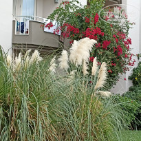 фото из отзыва ID 2738528